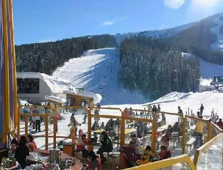 Top App F 6 @gondola@bansko A.k.a Ski & Sunresort 公寓式酒店